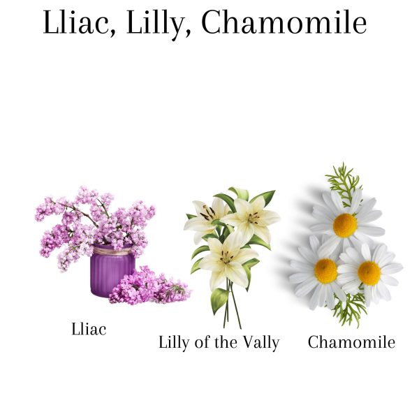 Lotus, Lilly, Lilac