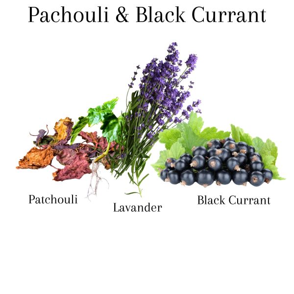 Pachouli & Black Currant