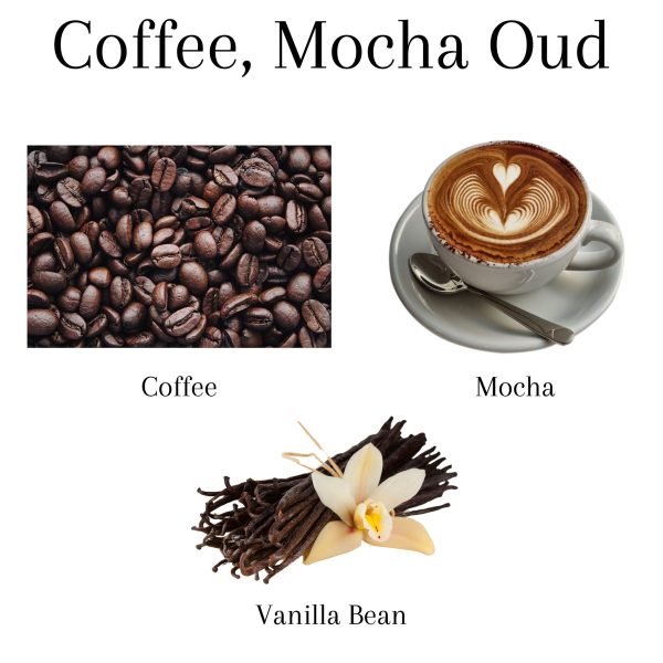 Coffee, Mocha & Cream